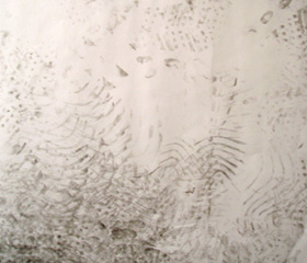 upcomingexhibition